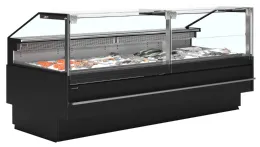 Vitrine professionnelle réfrigérée poisson frais 620l - soca-f25090b - tefcold - Tefcold - SOCA-F25090B Vitrine professionnelle réfrigérée poisson frais 620l - soca-f25090b - tefcold - Tefcold - SOCA-F25090B