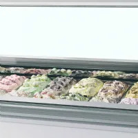 Photo 2 - Vitrine professionnelle à froid ventilée pour 18 bacs de glace avec façade bombée - millennium lx18 - tefcold - Tefcold - MILLENNIUM LX18