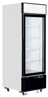 Vitrine professionnelle froid positive 1 porte vitrée blanche 405 L - LGC2500 - Tefcold
